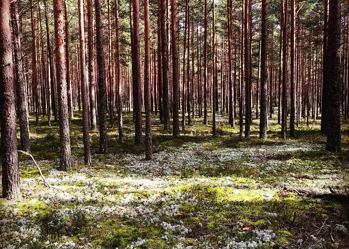 Merekalda - Adults Only Guest house