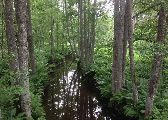 Guest house Merekalda - Adults Only 4*